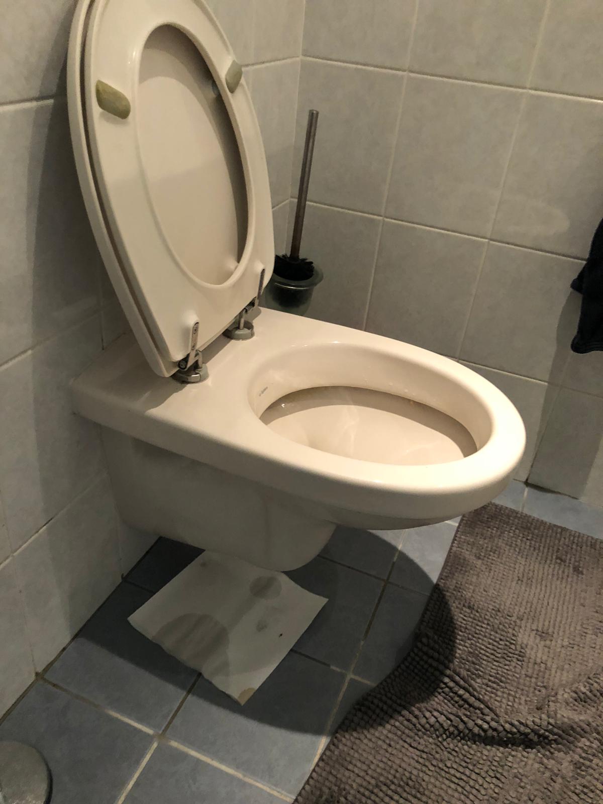 hangtoilet Gorinchem